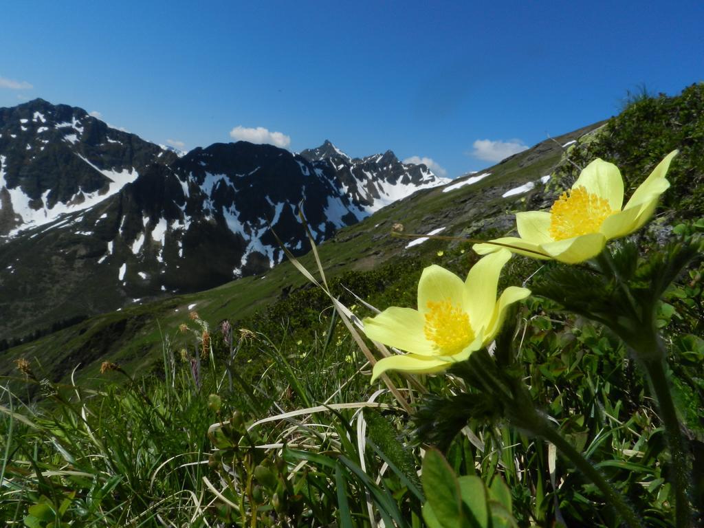 Alpasella Ferienwohnungen Sankt Gallenkirch Luaran gambar